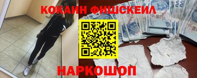 крисы Славгород
