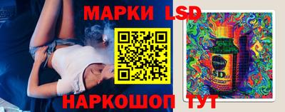 крисы Славгород