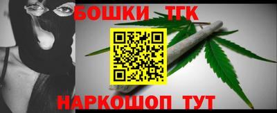 гашик Сланцы