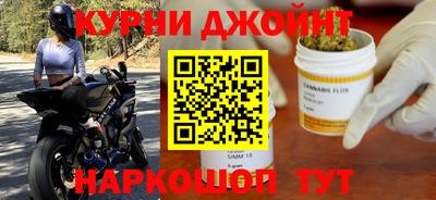крисы Славгород