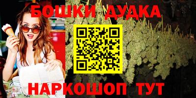 гашик Сланцы