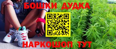 крисы Славгород
