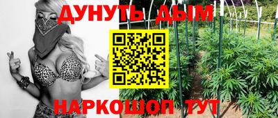крисы Славгород