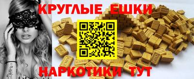 крисы Славгород