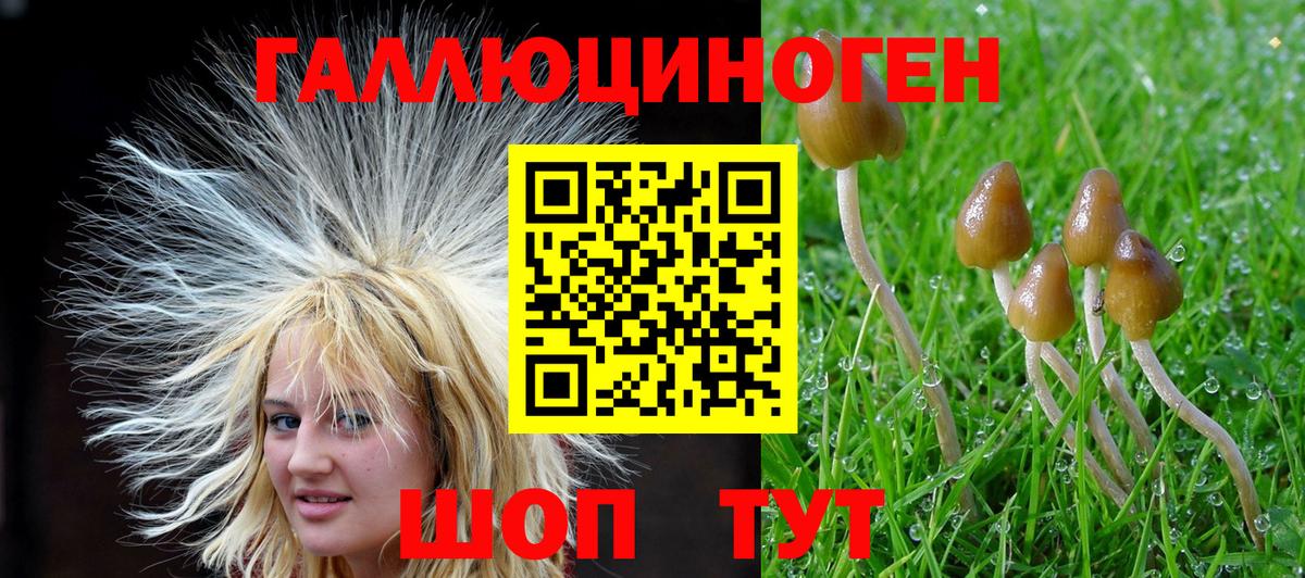 Псилоцибиновые грибы мицелий  Вход с VPN  Псилоцибиновые грибы GOLDEN TEACHER  Полысаево 